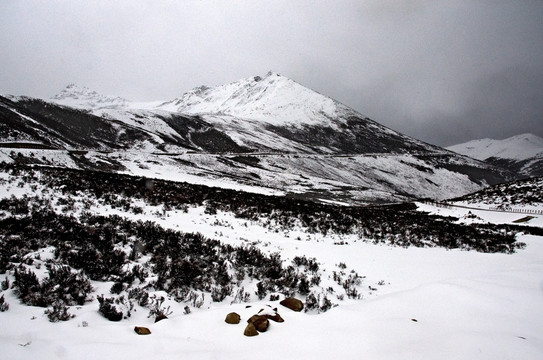 西藏雪山