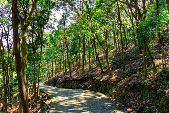 山间小道