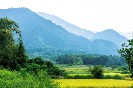 田野风光