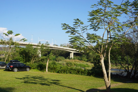 横跨罗梭江的公路桥