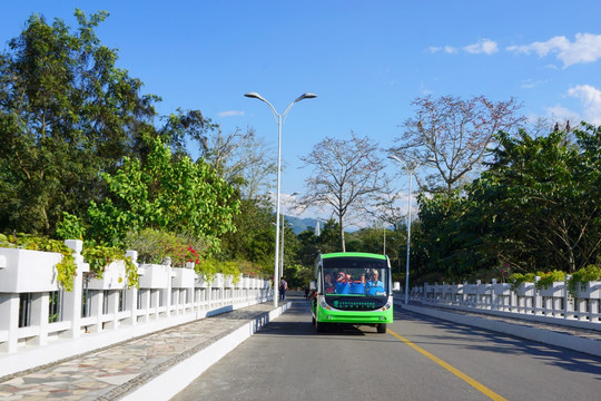 景区交通车 环保电动车