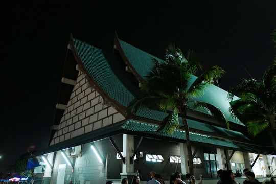 芭提雅 夜景 街道 城市 社区