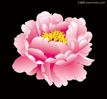 紅色牡丹