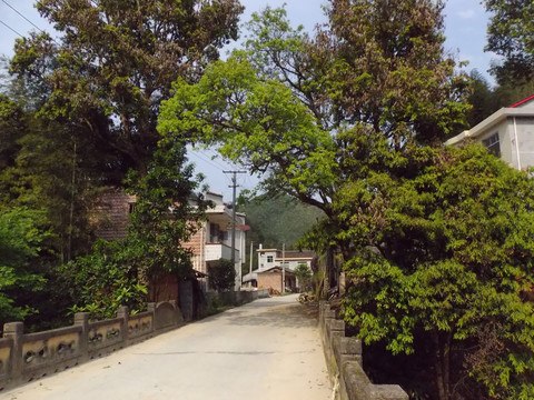 乡村风景