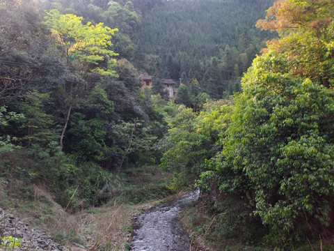 山中溪流