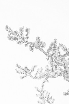 桃林素描圖