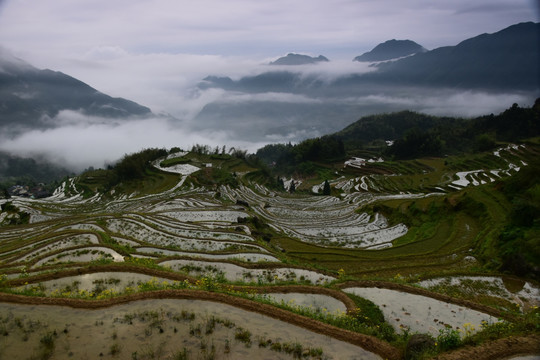 美丽梯田