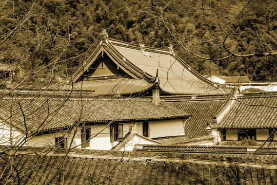 天童禅寺 五大名刹