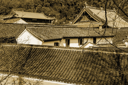 天童禅寺 五大名刹