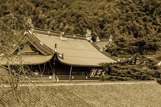 天童风景区 天童禅寺 五大名刹