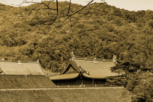 天童风景区 天童禅寺 五大名刹