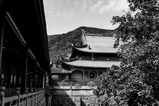 天童老照片 佛教 寺庙 寺院