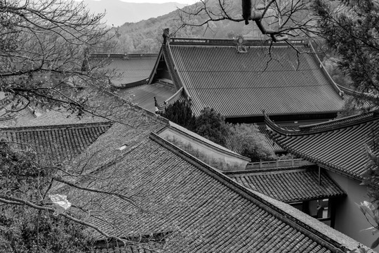 古寺古刹 天童寺风景区