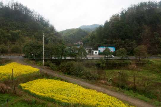 农村风景