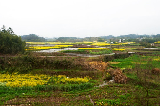 土地风景