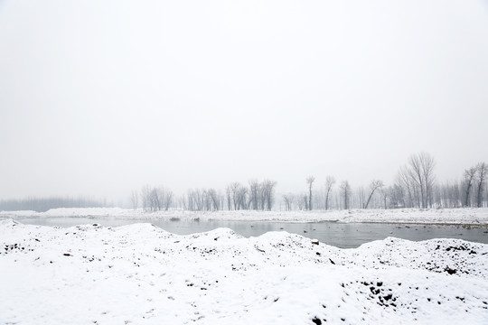 雪景