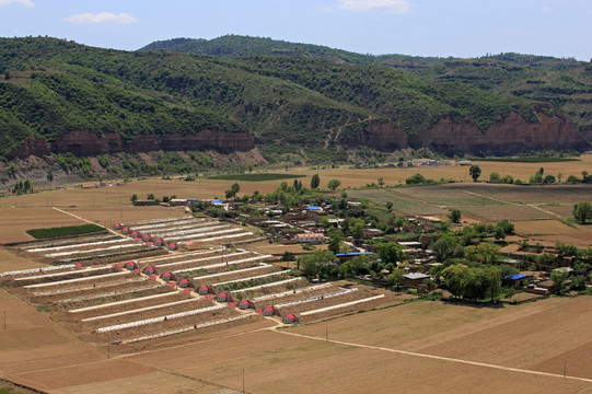 甘泉县洛河川农田