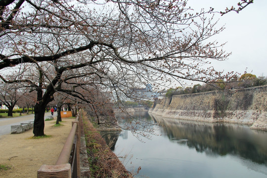 日本大阪城公园