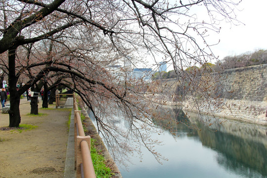 日本大阪城公园