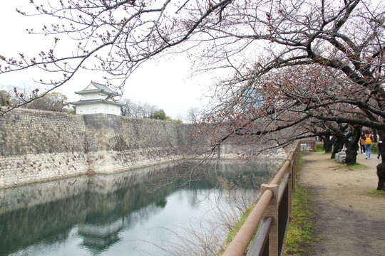 日本大阪城公园