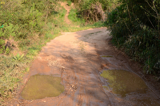 山林山路