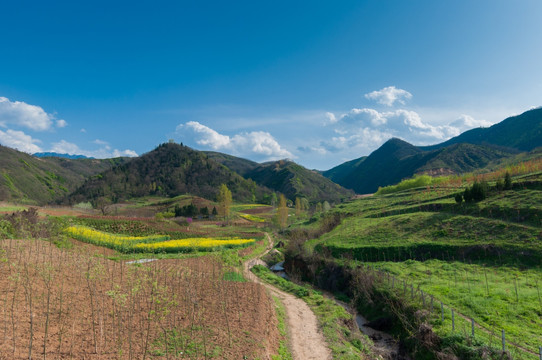 秦岭山