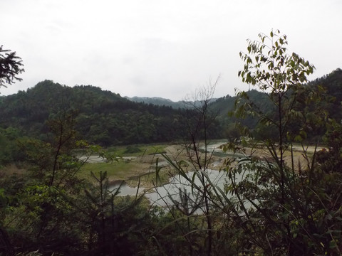 乡村风景