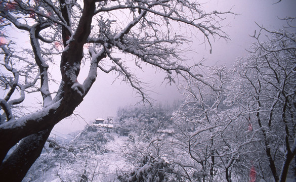 玉垒关雪景远眺