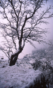 玉垒关雪景远眺2