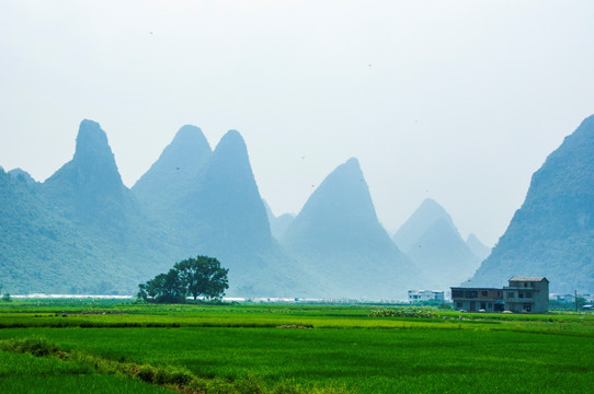 桂林山水田园