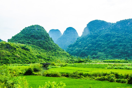 桂林山水田园