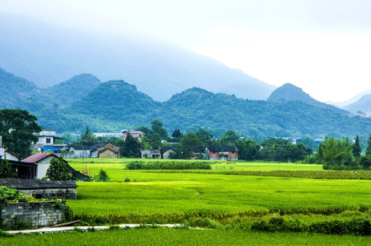 田园秋色