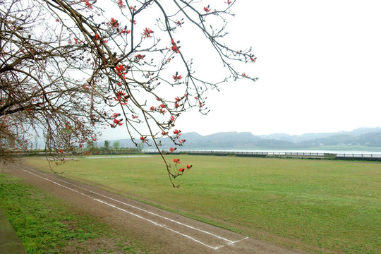 江岸 草坪