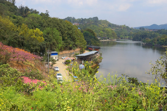 春天山水风光 桃花 油菜花