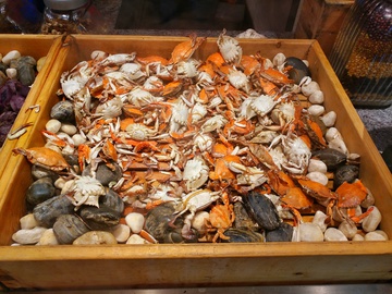 螃蟹 石蟹