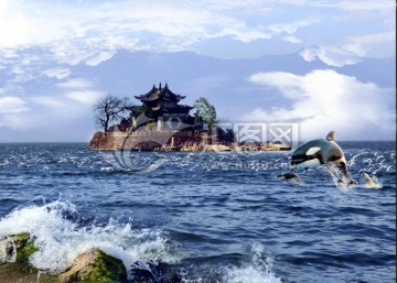 洱海小普陀海豚裝飾畫