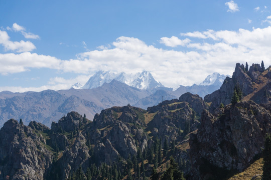 天山天池 （14）