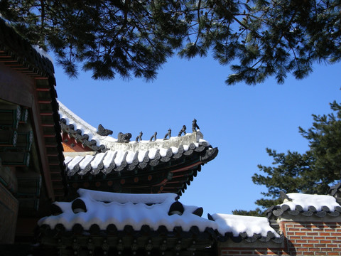 韩国故宫屋脊雪景