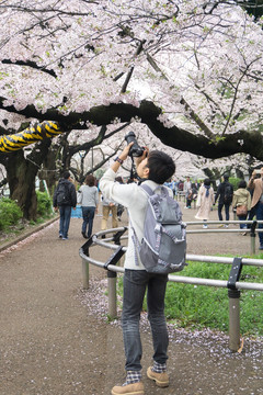 日本旅游 摄影