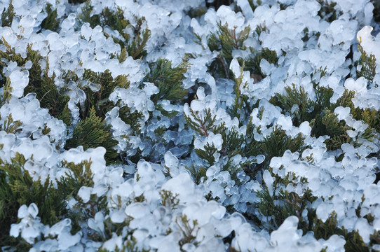 冰 冰雪