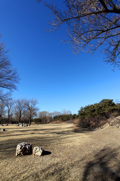 北京 建筑 圆明园