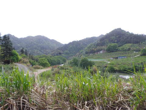 山村风景