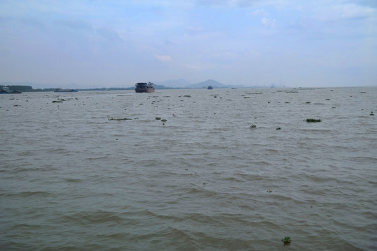 银洲湖江景