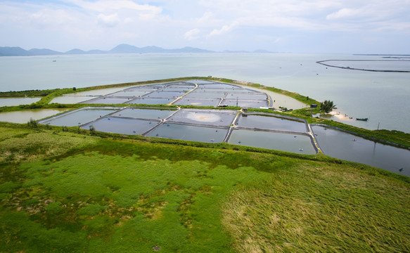 丰头岛 海岛 岛屿