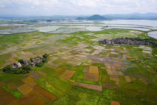 田园风光 绿色 家园