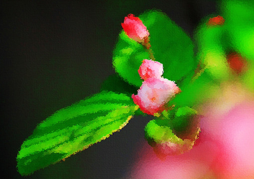 海棠花油畫(huà)