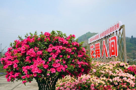 新津花舞人间 景区大门