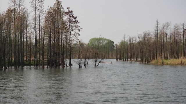 无锡尚湖风景区