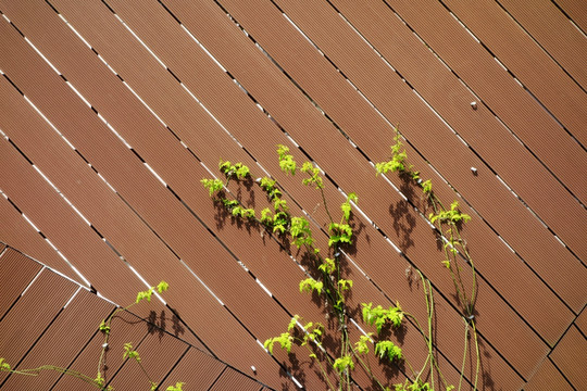 绿植木板墙