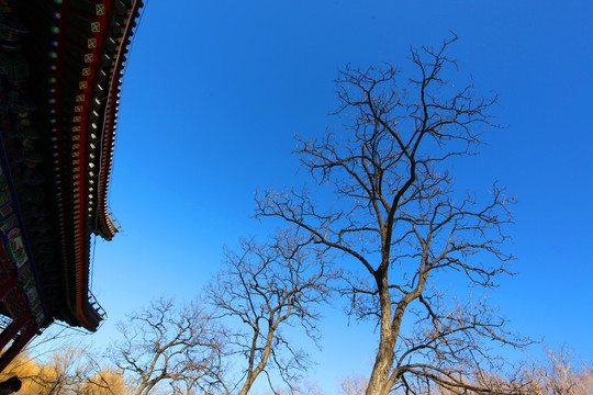 废墟 北京 建筑 圆明园